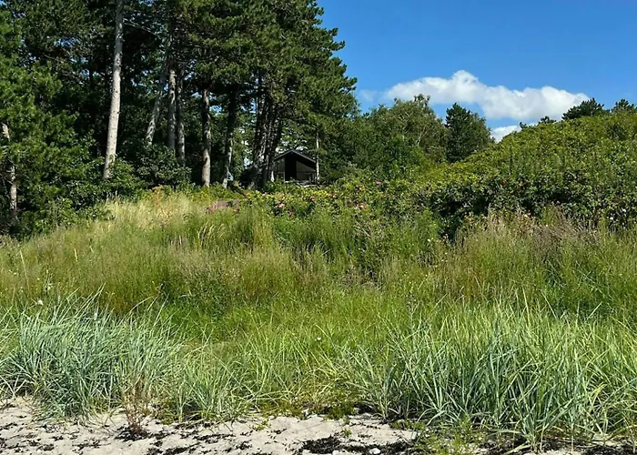 Idyllic View To The Fjord From Дом отдыха Jaegerspris